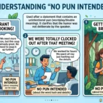 No Pun Intended Meaning